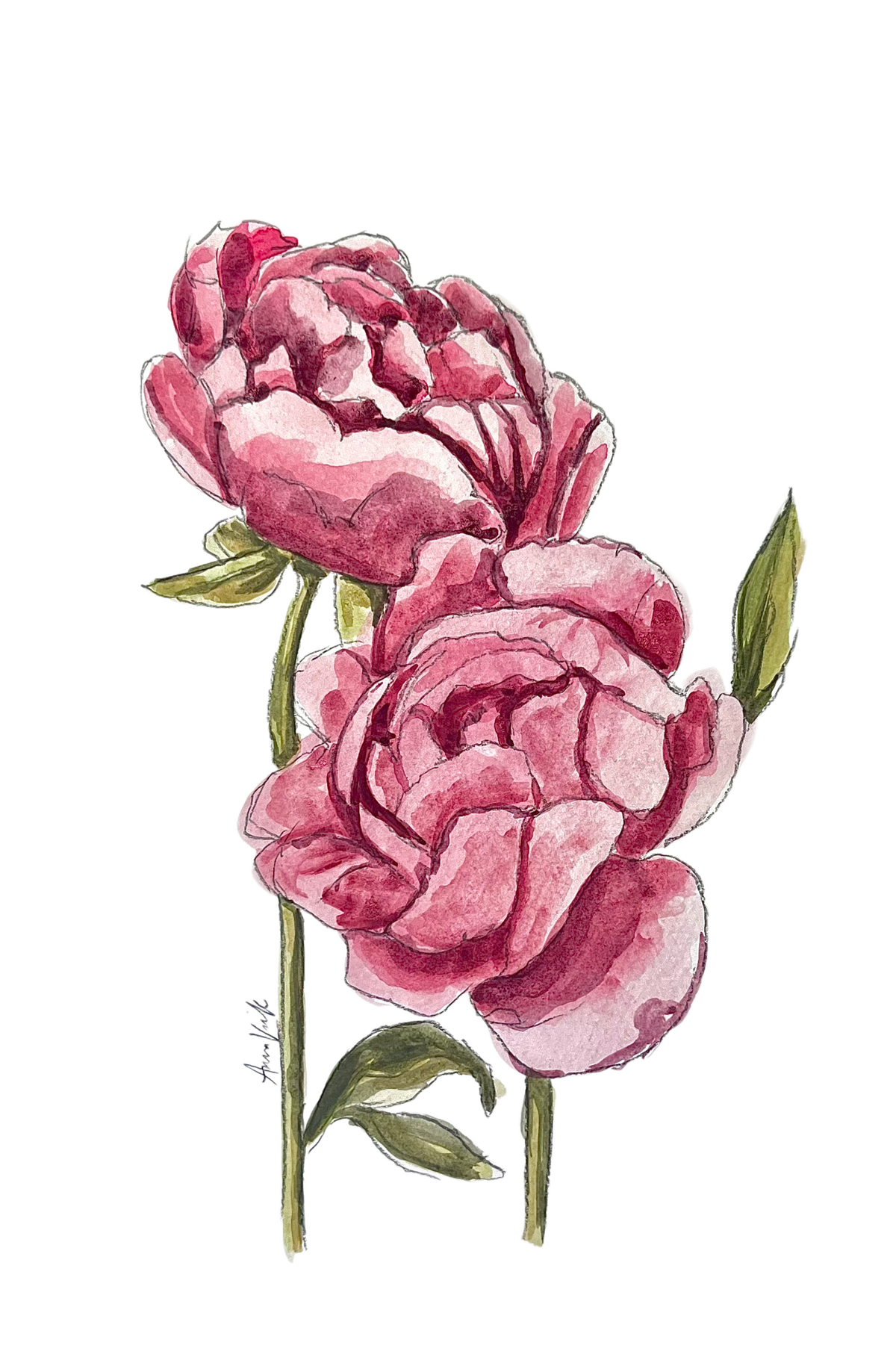 PINK FLORALS