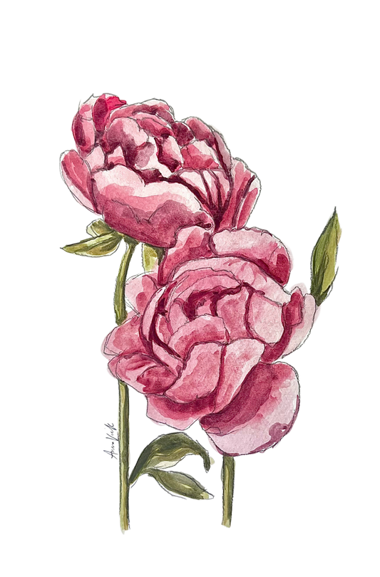PINK FLORALS