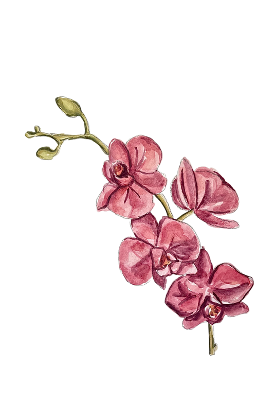 ORCHID