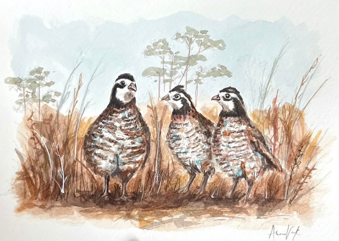 Three Little Birds