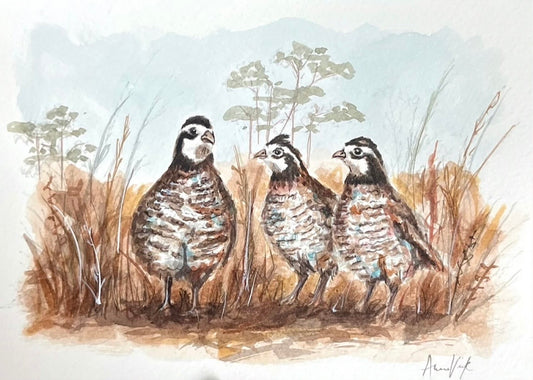 Three Little Birds