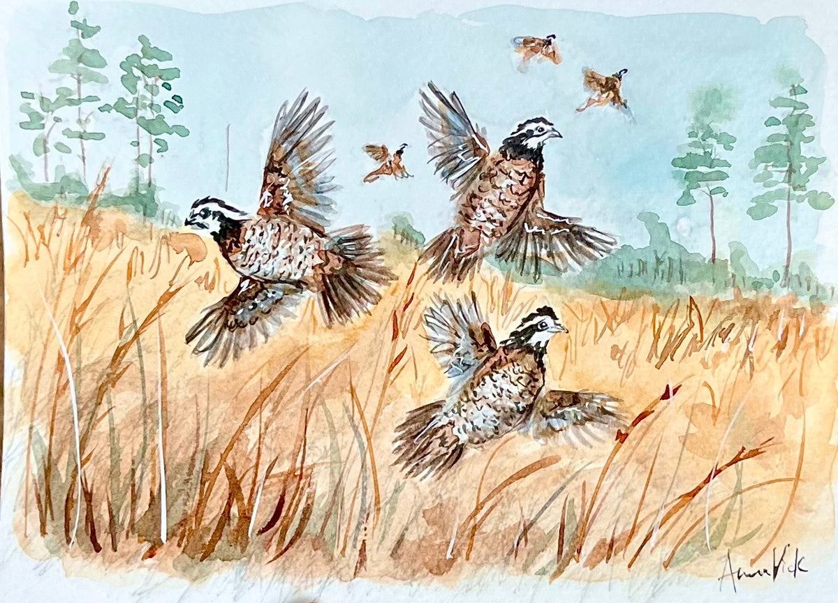 Quail Country