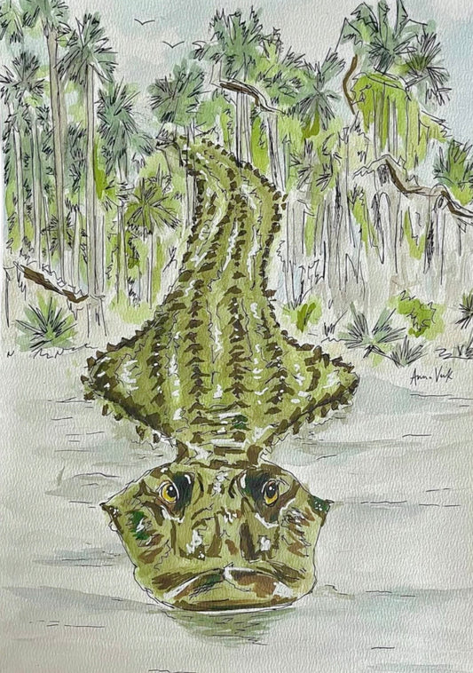 Mr. Gator