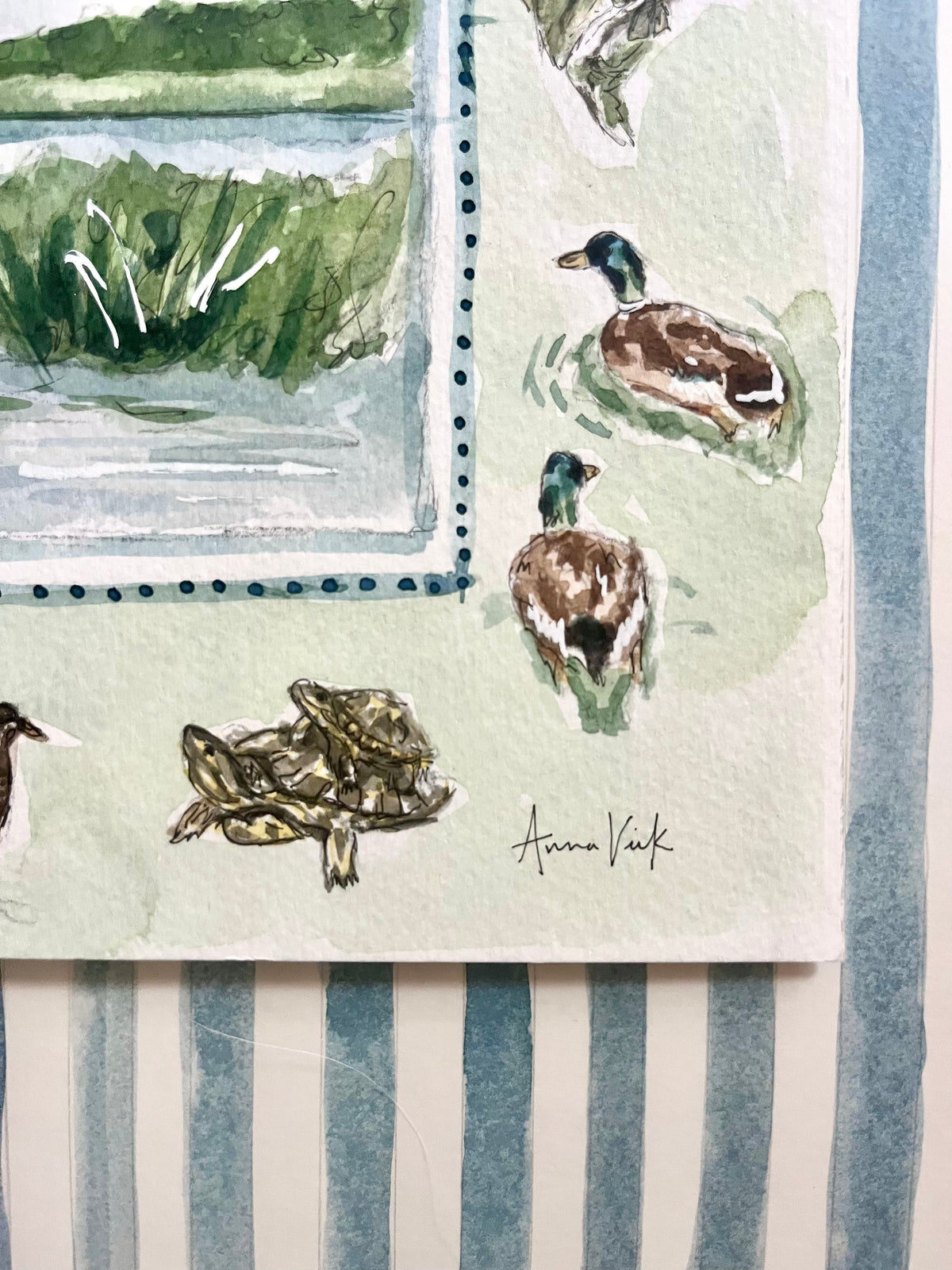 BABA’S BIRDS